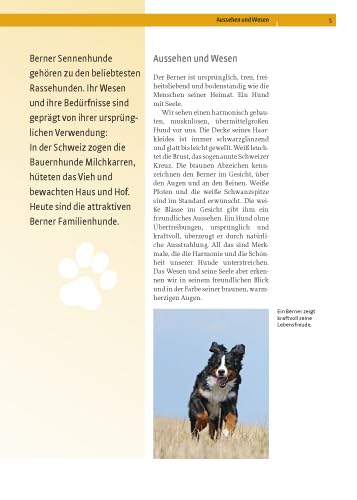 Berner Sennenhund: Auswahl, Haltung, Erziehung, Beschäftigung (Praxiswissen Hund)