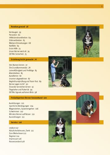Berner Sennenhund: Auswahl, Haltung, Erziehung, Beschäftigung (Praxiswissen Hund)