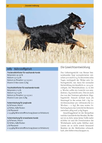 Berner Sennenhund: Auswahl, Haltung, Erziehung, Beschäftigung (Praxiswissen Hund)