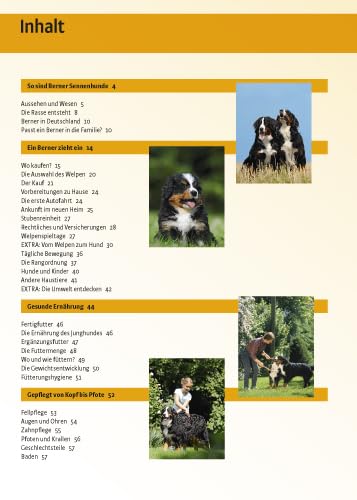 Berner Sennenhund: Auswahl, Haltung, Erziehung, Beschäftigung (Praxiswissen Hund)