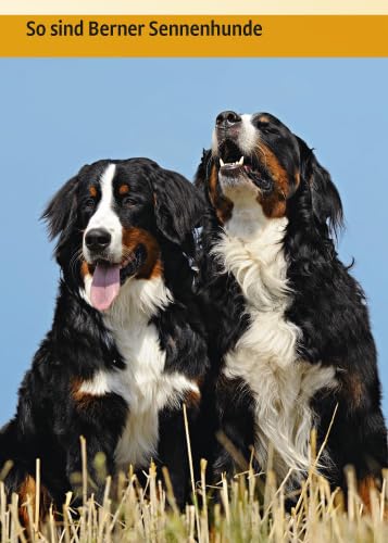 Berner Sennenhund: Auswahl, Haltung, Erziehung, Beschäftigung (Praxiswissen Hund)