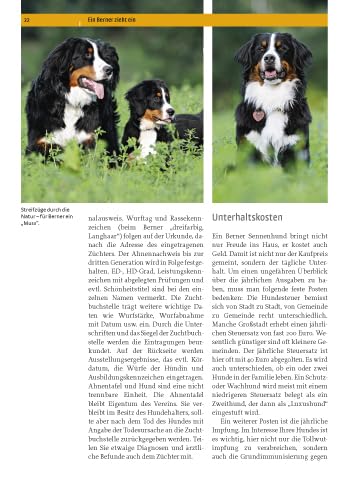 Berner Sennenhund: Auswahl, Haltung, Erziehung, Beschäftigung (Praxiswissen Hund)