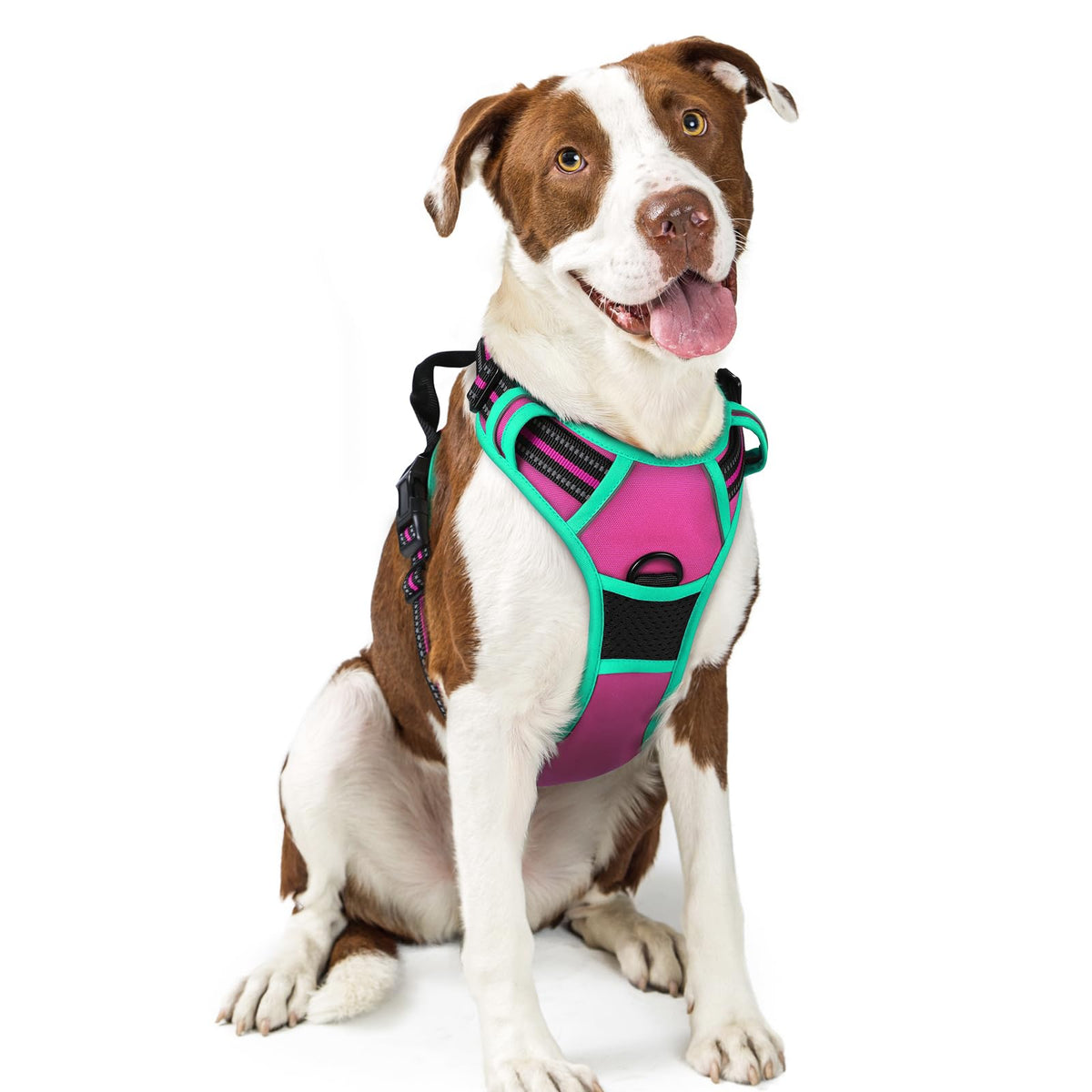 rabbitgoo Hundegeschirr Grosse Hunde Anti Zug mit Griff, L, Schwarz