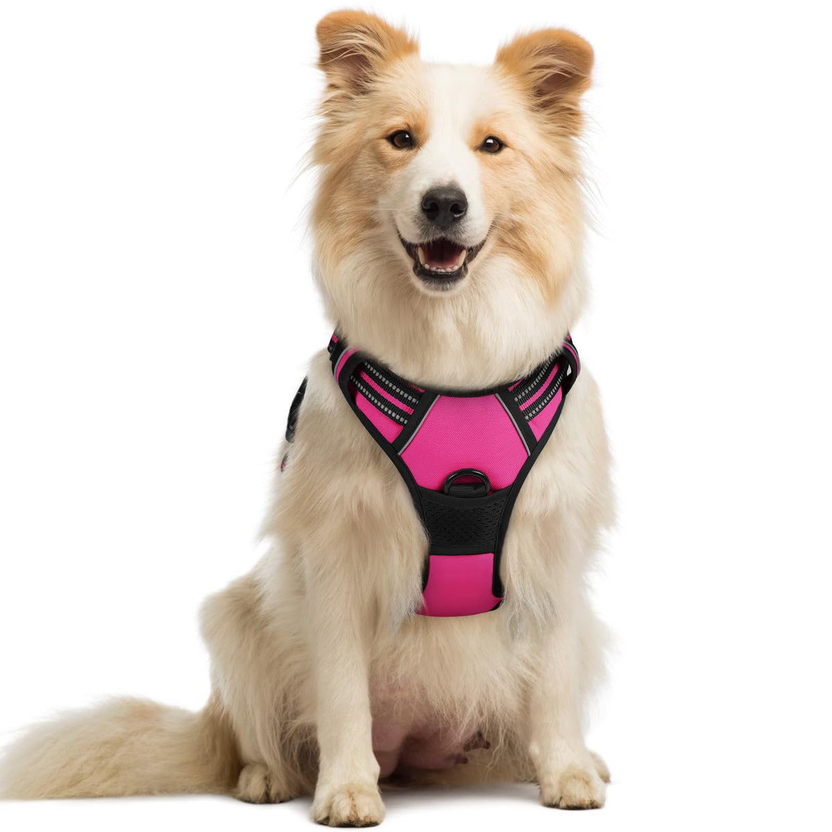 rabbitgoo Hundegeschirr Grosse Hunde Anti Zug mit Griff, L, Schwarz