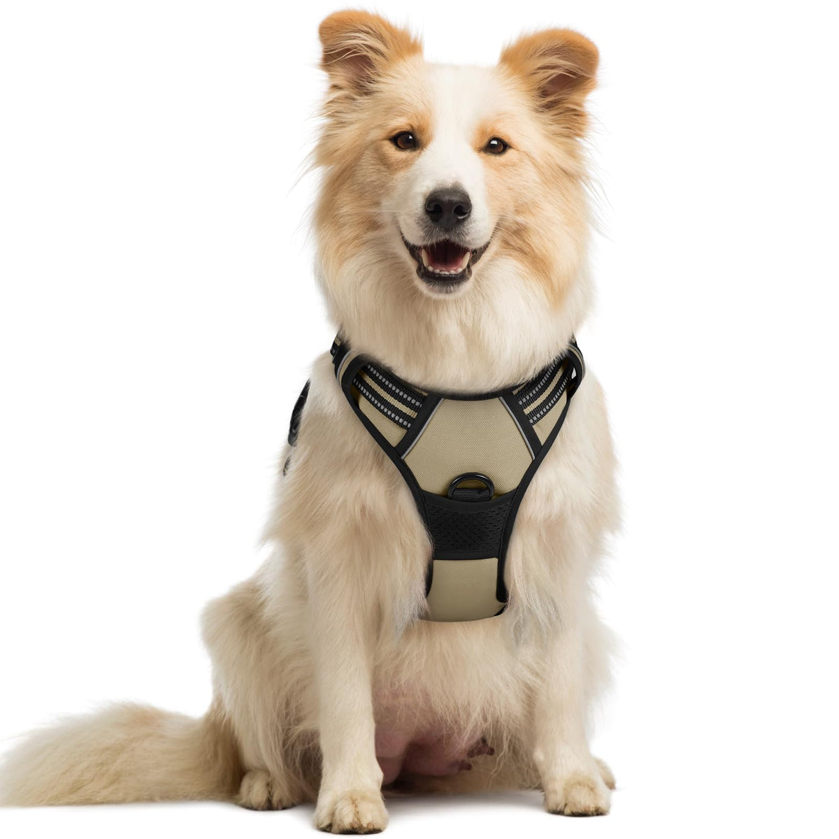 rabbitgoo Hundegeschirr Grosse Hunde Anti Zug mit Griff, L, Schwarz
