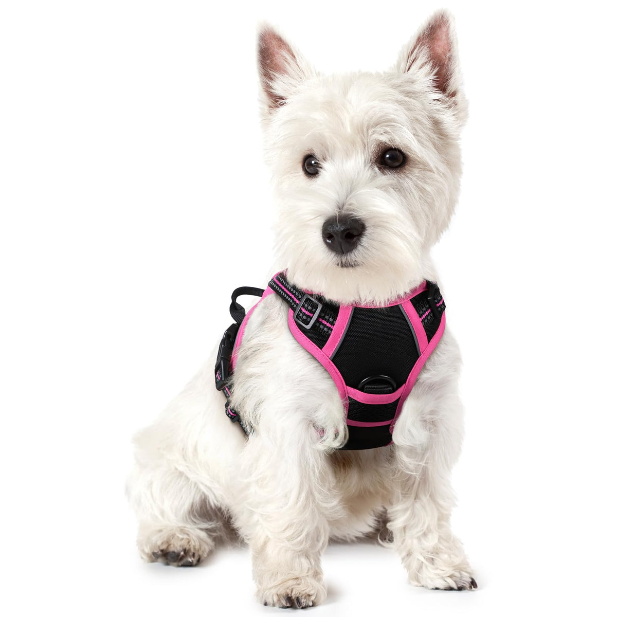 rabbitgoo Hundegeschirr Grosse Hunde Anti Zug mit Griff, L, Schwarz