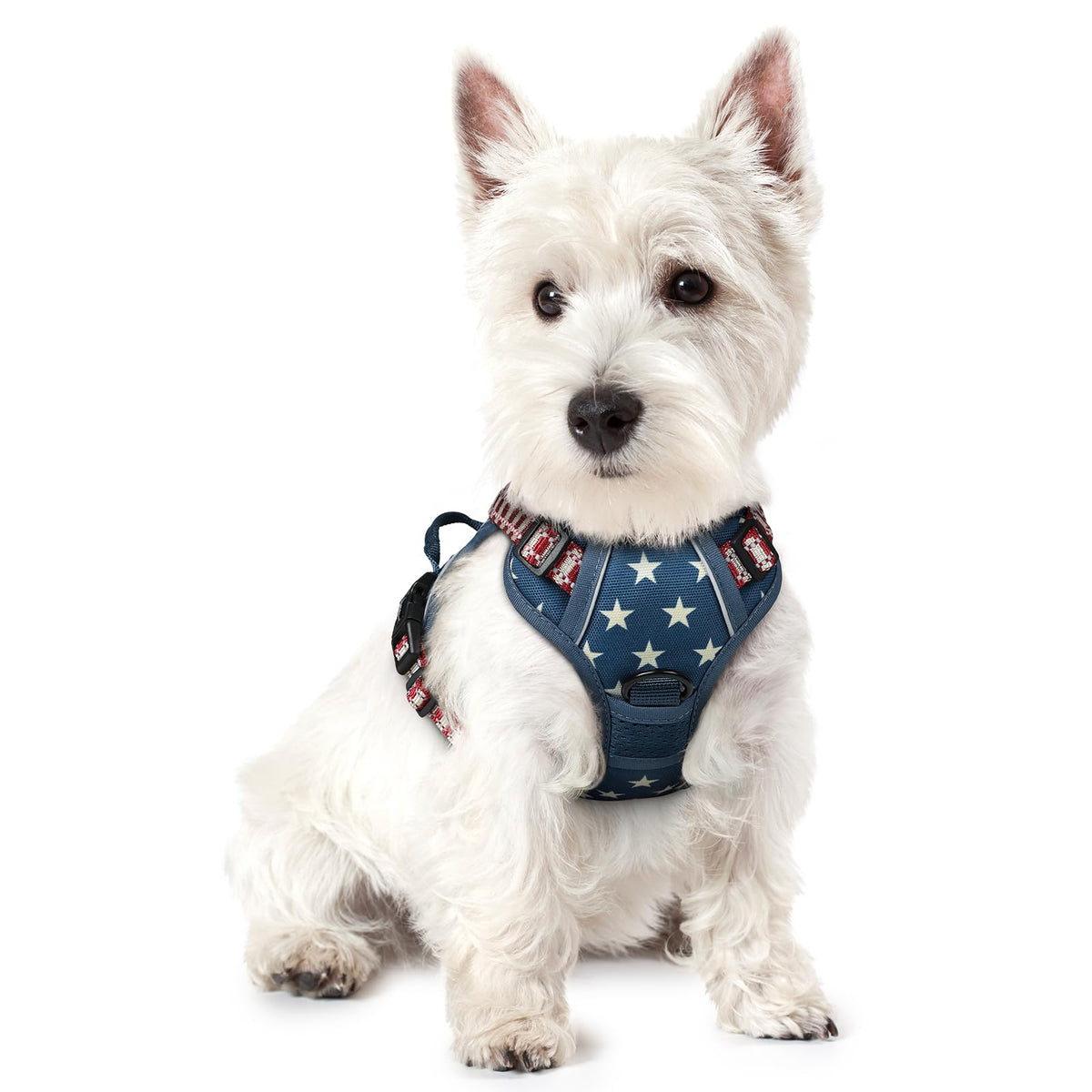 rabbitgoo Hundegeschirr Grosse Hunde Anti Zug mit Griff, L, Schwarz