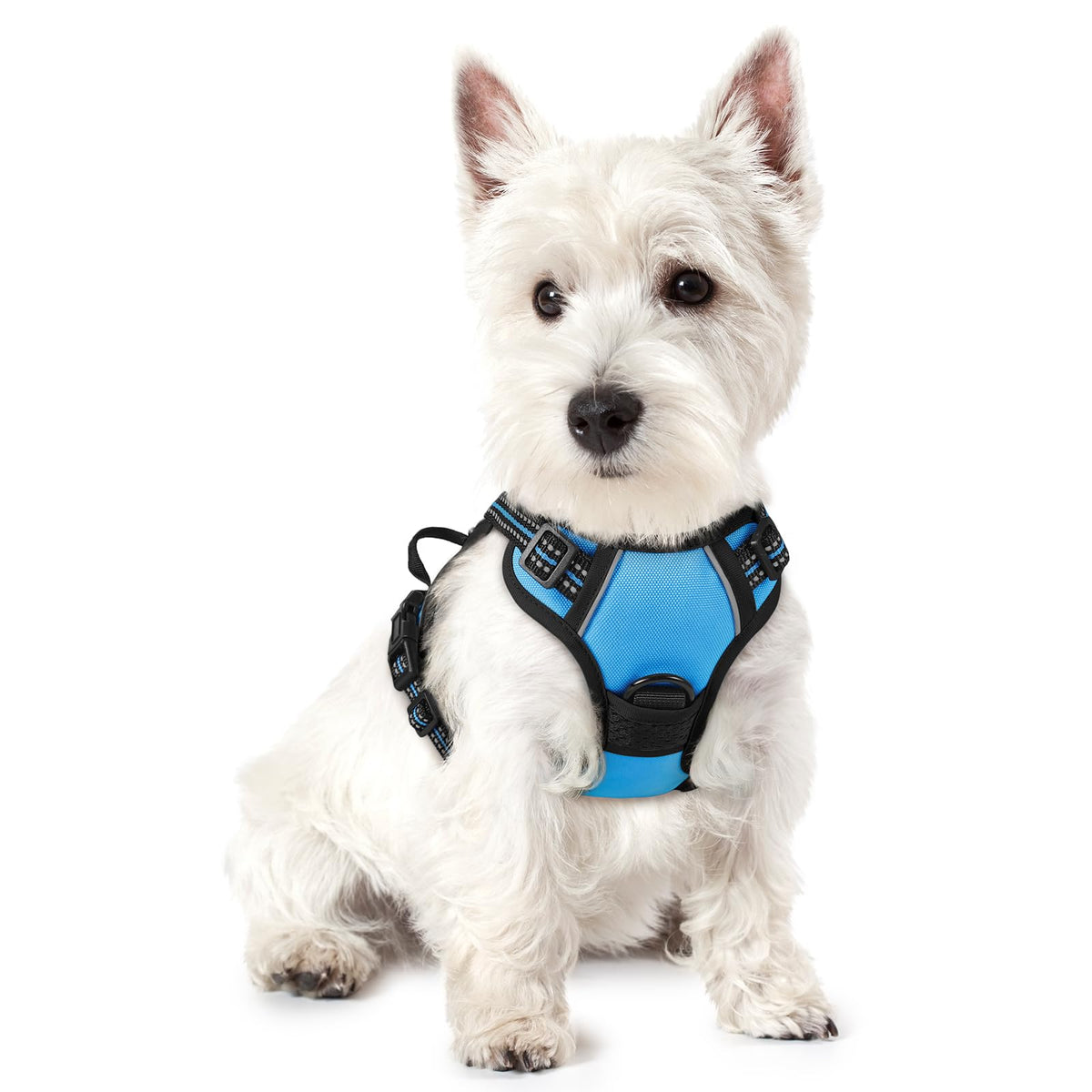 rabbitgoo Hundegeschirr Grosse Hunde Anti Zug mit Griff, L, Schwarz