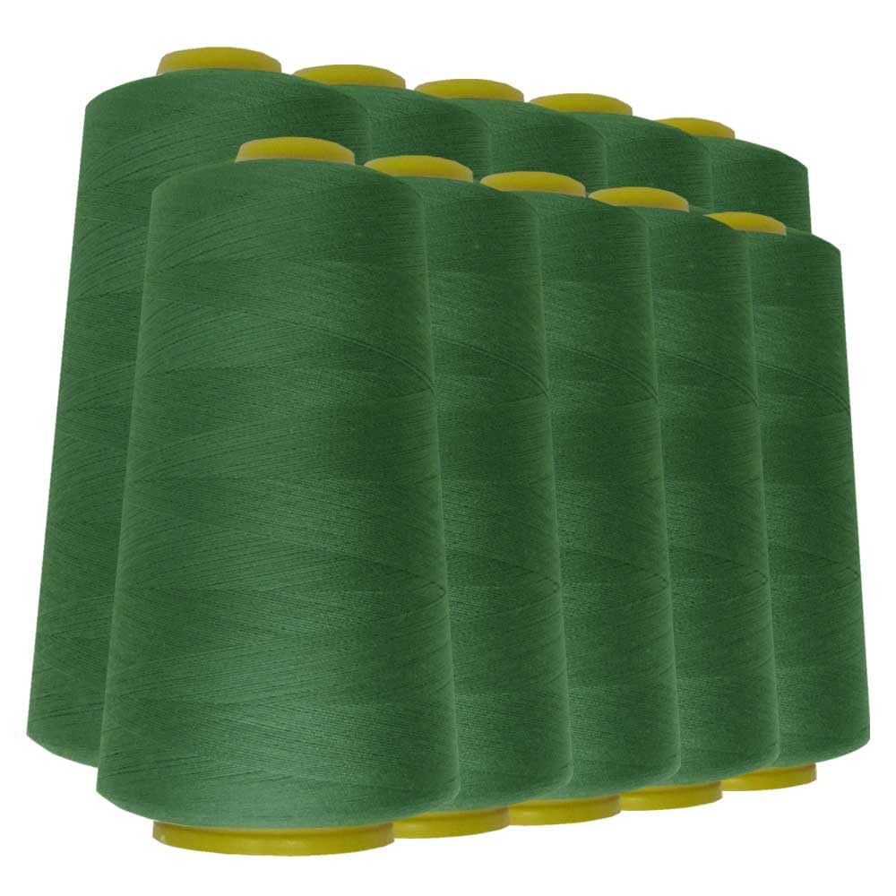 Schneidereibedarf Werner - 10 Rollen/Konen Overlock-Nähgarn/Overlockgarn - Polyester, 40/2 Stärke, 2743 Meter / 3000 Yards, für Näharbeiten, Quilten, Patchwork, Kleidung (schwarz (580))