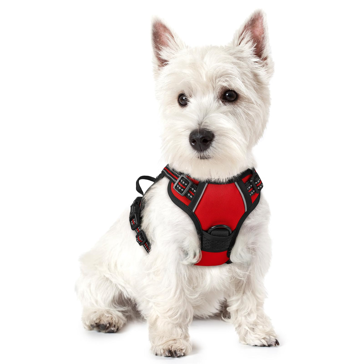 rabbitgoo Hundegeschirr Grosse Hunde Anti Zug mit Griff, L, Schwarz