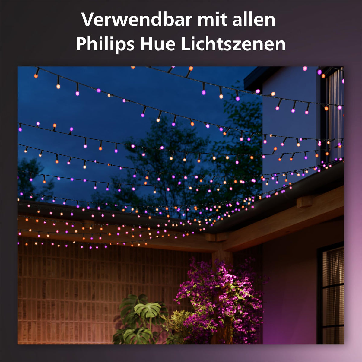 Philips Hue Festavia Lichterkette, 250 Mini LEDs, 20 m
