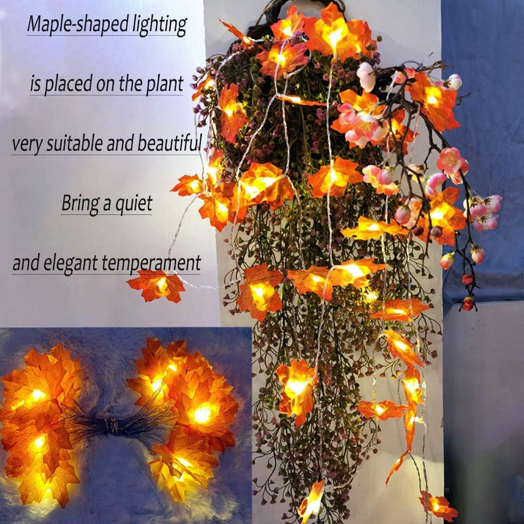 Herbst lichterkette, Herbst Blättergirlande,lichterkette,30 Ahornblatt Licht,Länge 3 Meter Benutzt für herbstdeko und weihnachtsdeko halloween deko party deko tischdeko