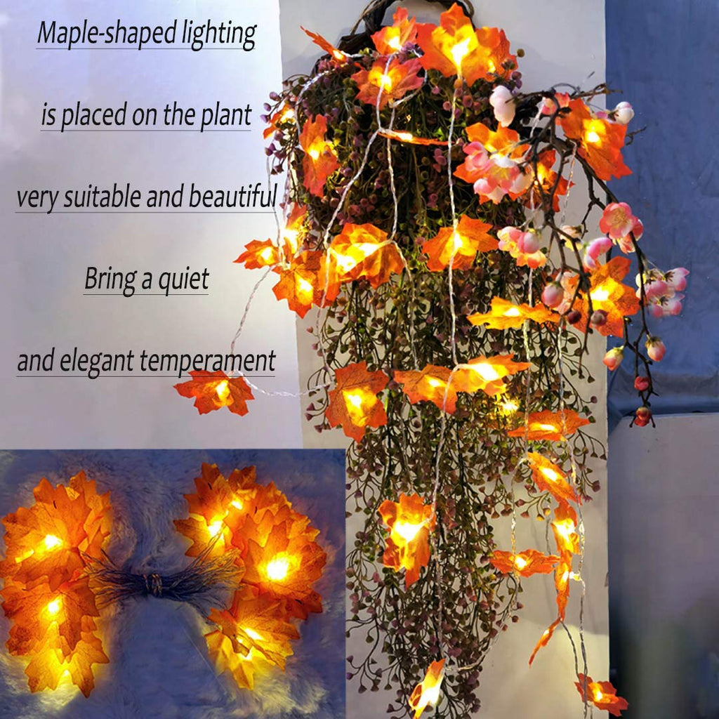 Herbst lichterkette, Herbst Blättergirlande,lichterkette,30 Ahornblatt Licht,Länge 3 Meter Benutzt für herbstdeko und weihnachtsdeko halloween deko party deko tischdeko