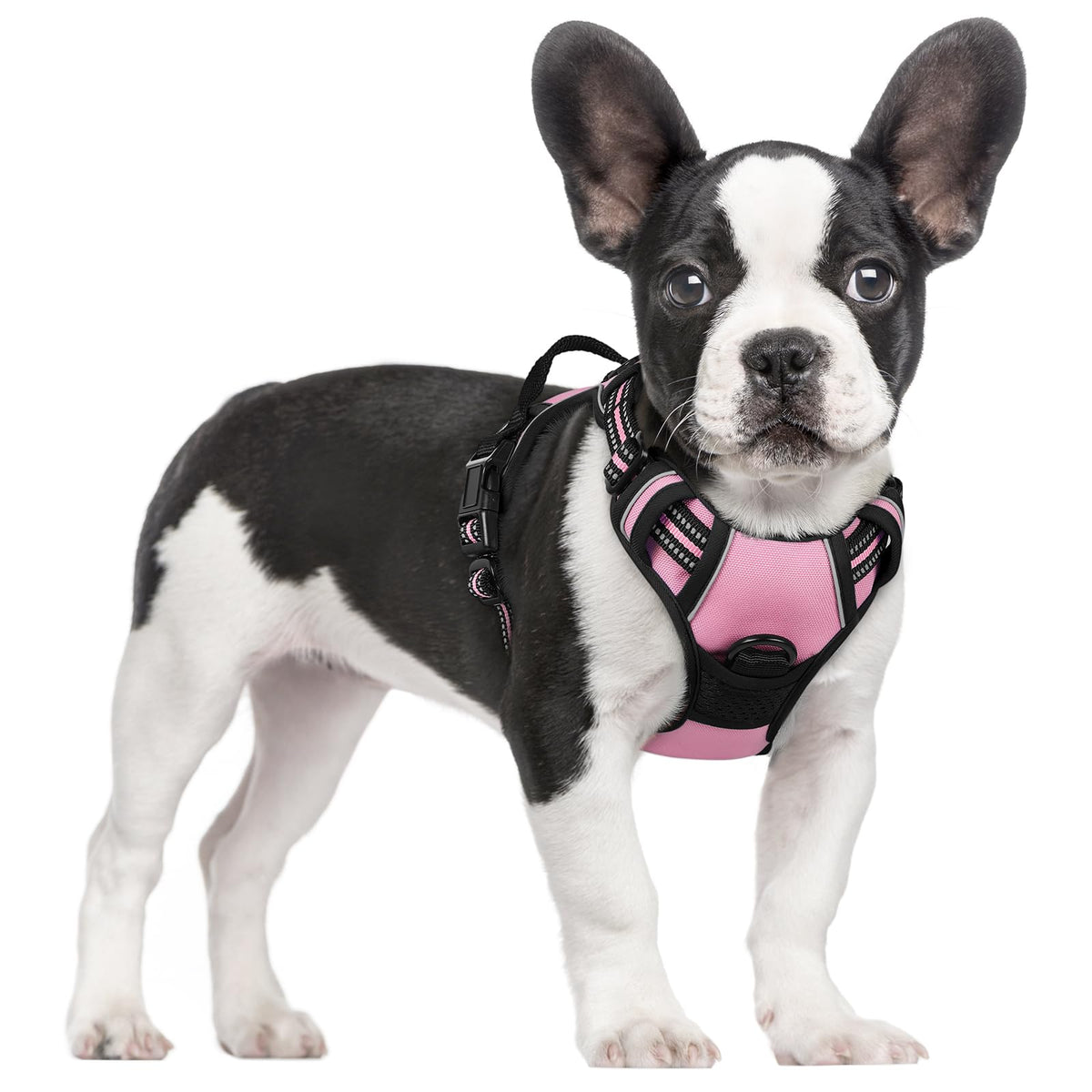 rabbitgoo Hundegeschirr Grosse Hunde Anti Zug mit Griff, L, Schwarz