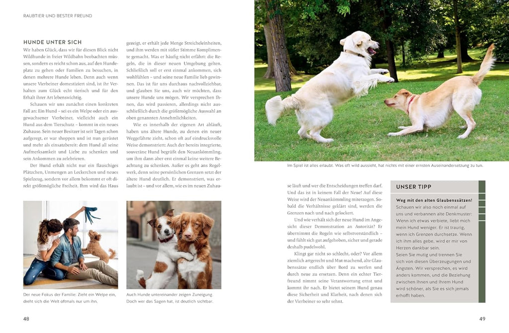 Typgerechte Hundeerziehung: Jede Hundepersönlichkeit individuell trainieren. Mit unterstützenden Videos (GU Hundeerziehung)
