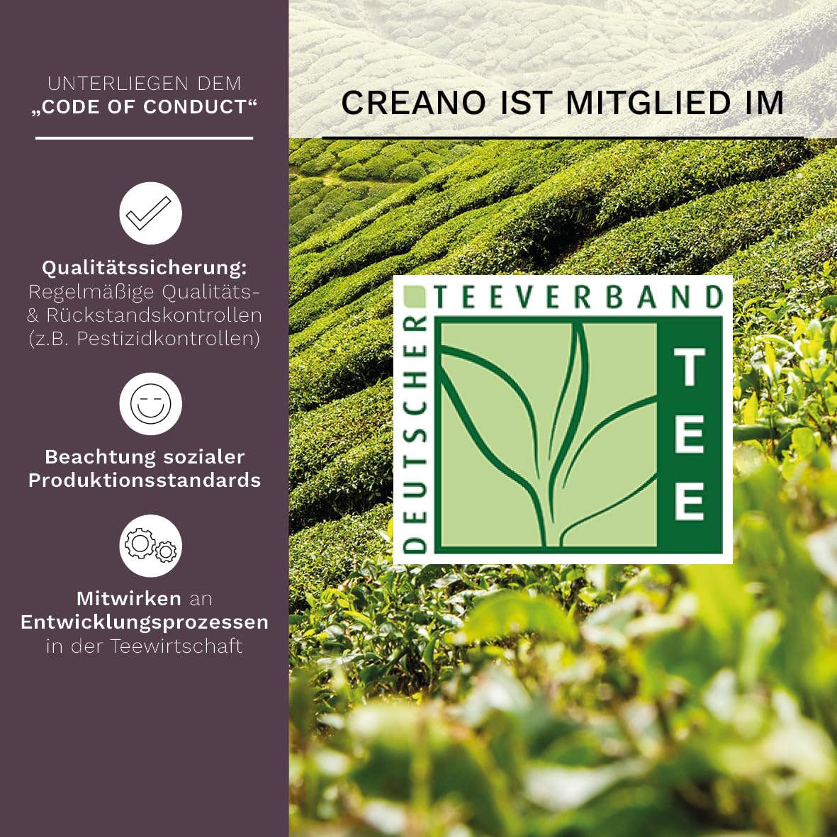 Creano 6 Teeblumen Geschenkbox weißer, schwarzer & grüner Tee in edler Magnetbox mit Silberprägung - 6 verschiedene Sorten - Geschenk zu Weihnachten