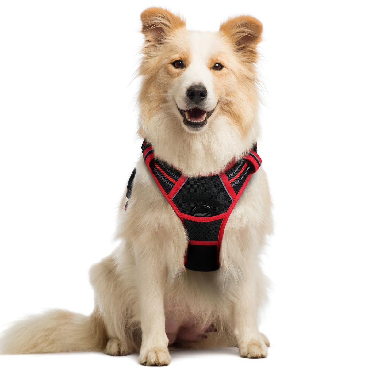 rabbitgoo Hundegeschirr Grosse Hunde Anti Zug mit Griff, L, Schwarz