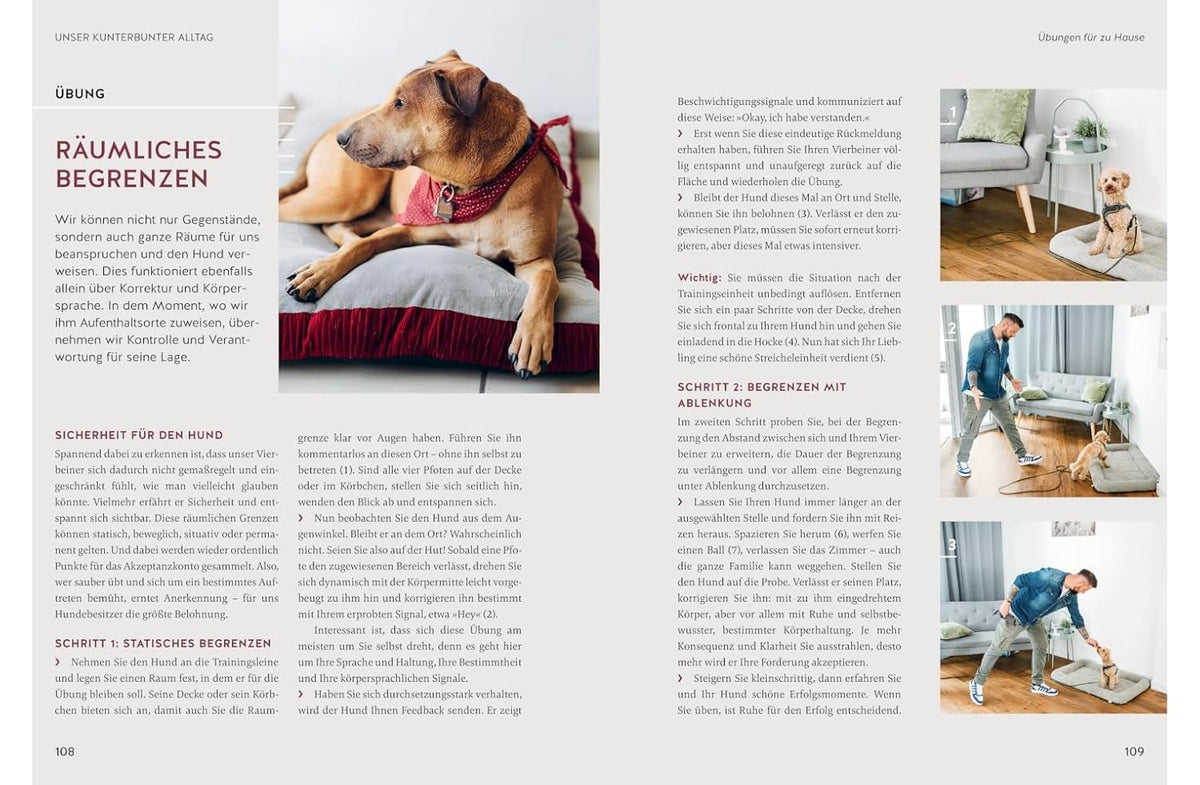 Typgerechte Hundeerziehung: Jede Hundepersönlichkeit individuell trainieren. Mit unterstützenden Videos (GU Hundeerziehung)