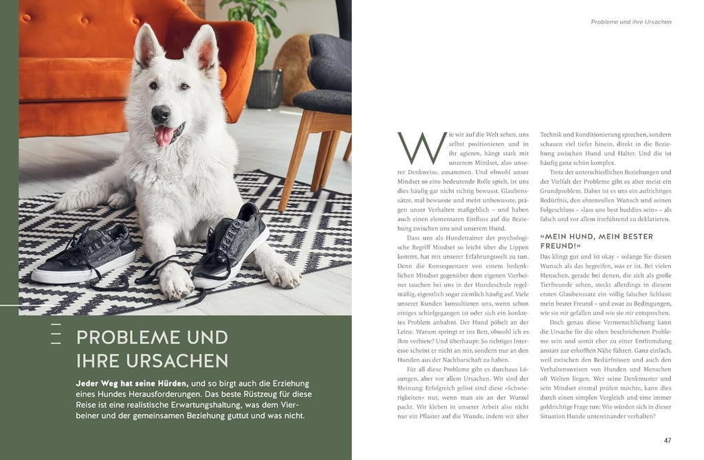 Typgerechte Hundeerziehung: Jede Hundepersönlichkeit individuell trainieren. Mit unterstützenden Videos (GU Hundeerziehung)