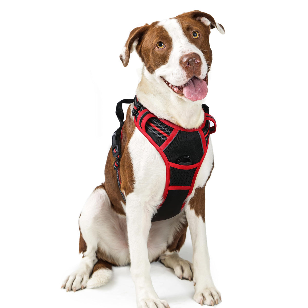 rabbitgoo Hundegeschirr Grosse Hunde Anti Zug mit Griff, L, Schwarz