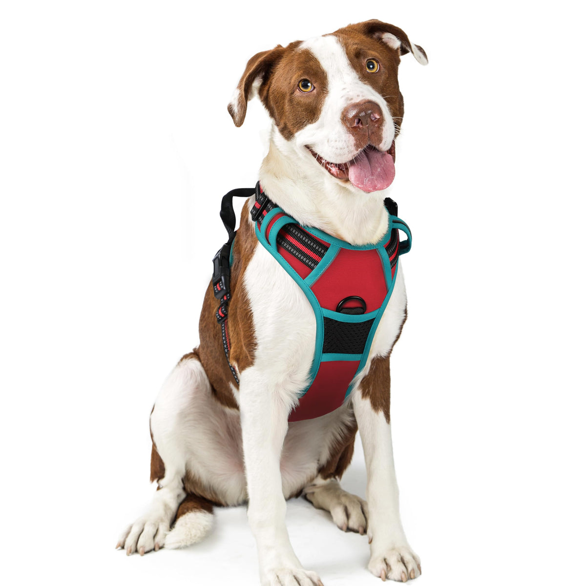 rabbitgoo Hundegeschirr Grosse Hunde Anti Zug mit Griff, L, Schwarz