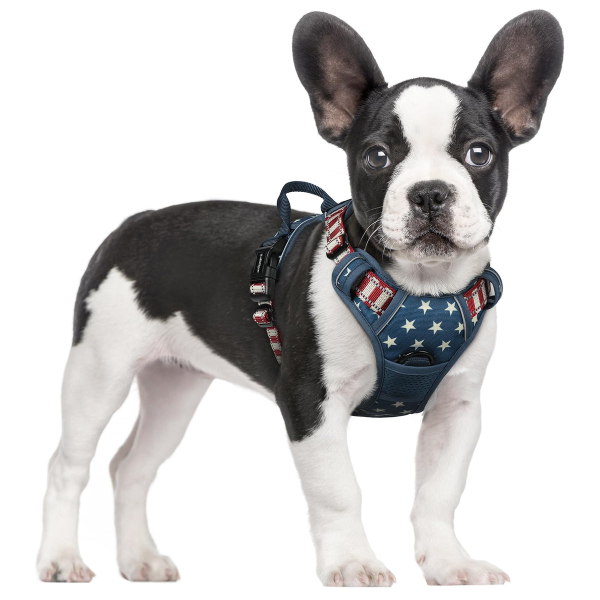 rabbitgoo Hundegeschirr Grosse Hunde Anti Zug mit Griff, L, Schwarz