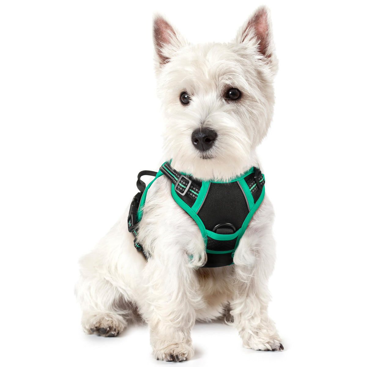 rabbitgoo Hundegeschirr Grosse Hunde Anti Zug mit Griff, L, Schwarz