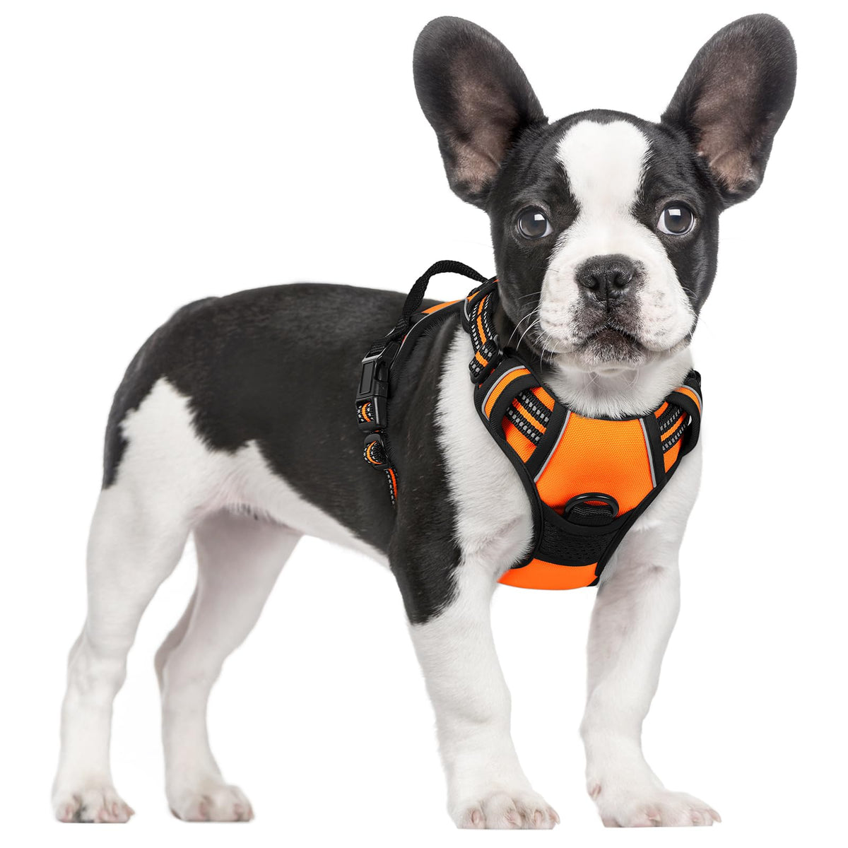 rabbitgoo Hundegeschirr Grosse Hunde Anti Zug mit Griff, L, Schwarz
