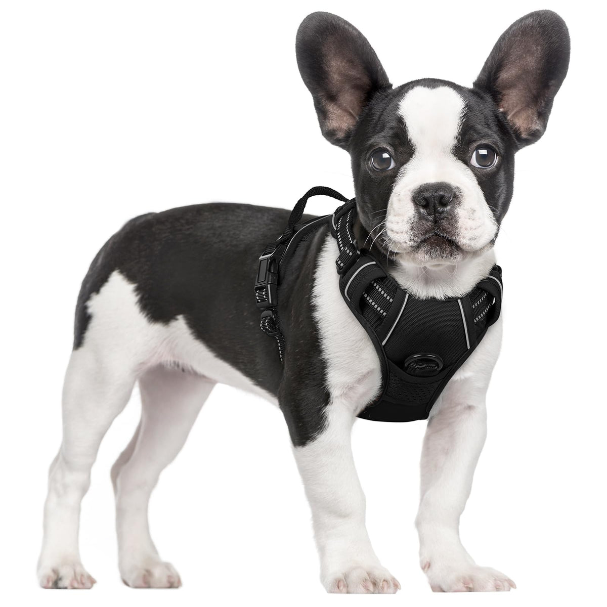 rabbitgoo Hundegeschirr Grosse Hunde Anti Zug mit Griff, L, Schwarz