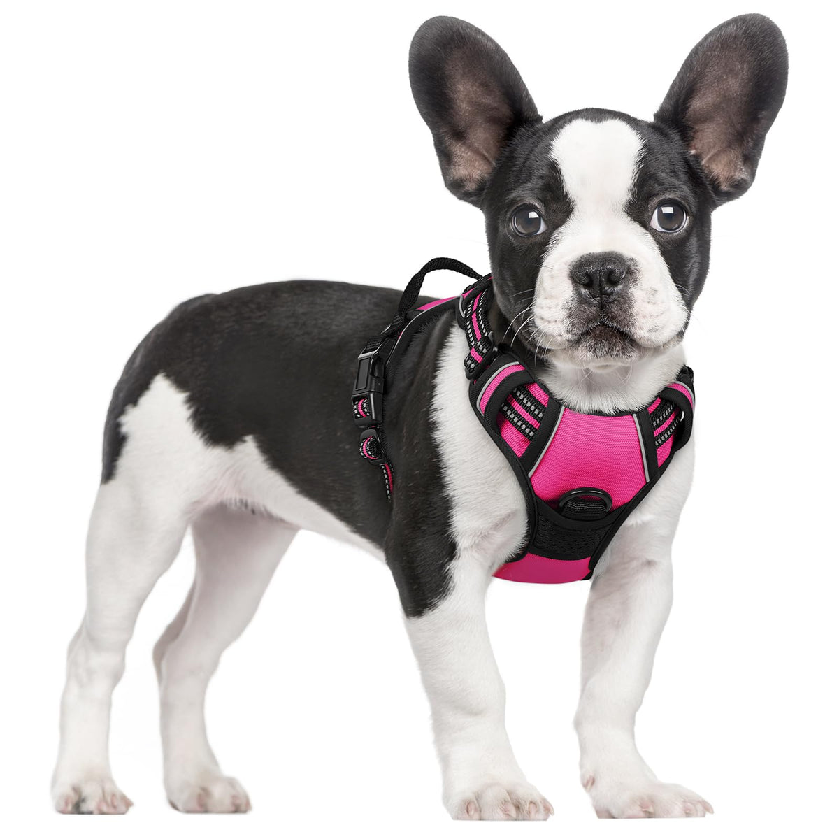 rabbitgoo Hundegeschirr Grosse Hunde Anti Zug mit Griff, L, Schwarz