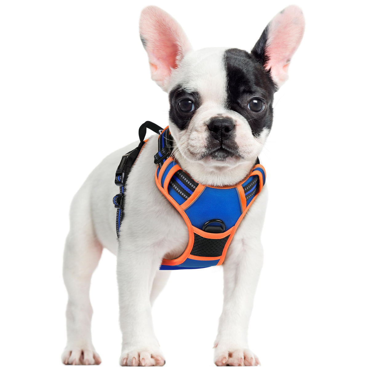 rabbitgoo Hundegeschirr Grosse Hunde Anti Zug mit Griff, L, Schwarz