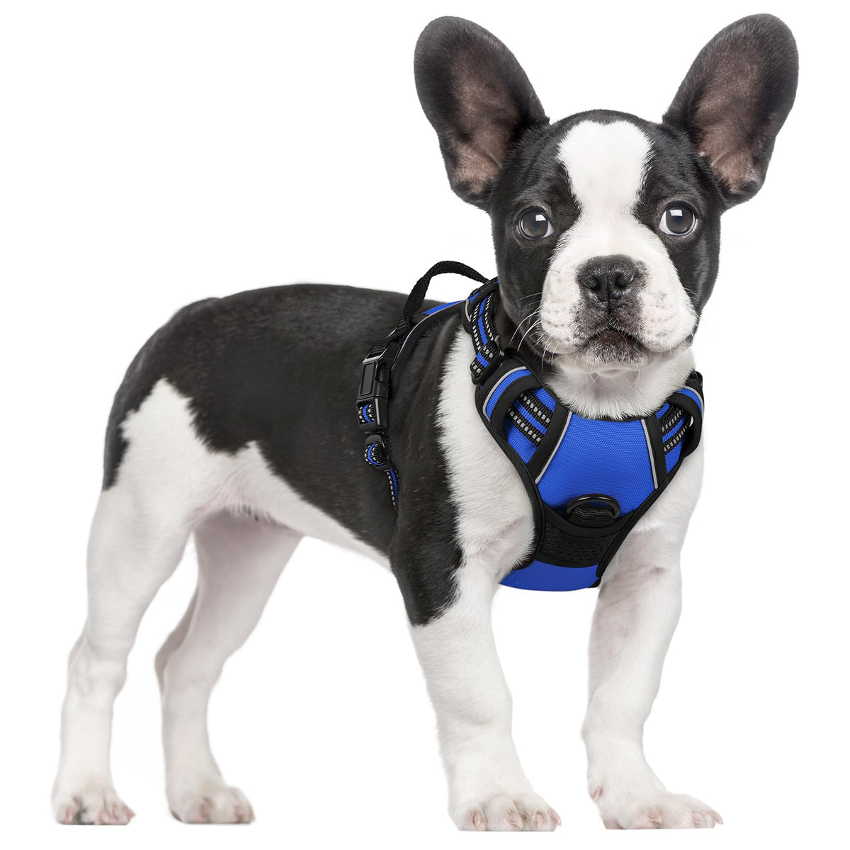 rabbitgoo Hundegeschirr Grosse Hunde Anti Zug mit Griff, L, Schwarz