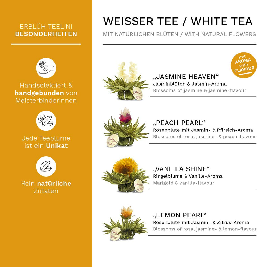 Creano 6 Teeblumen Geschenkbox weißer, schwarzer & grüner Tee in edler Magnetbox mit Silberprägung - 6 verschiedene Sorten - Geschenk zu Weihnachten