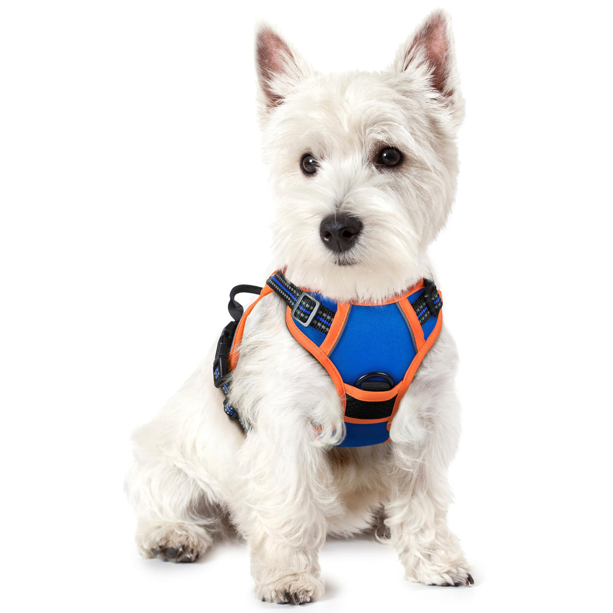 rabbitgoo Hundegeschirr Grosse Hunde Anti Zug mit Griff, L, Schwarz