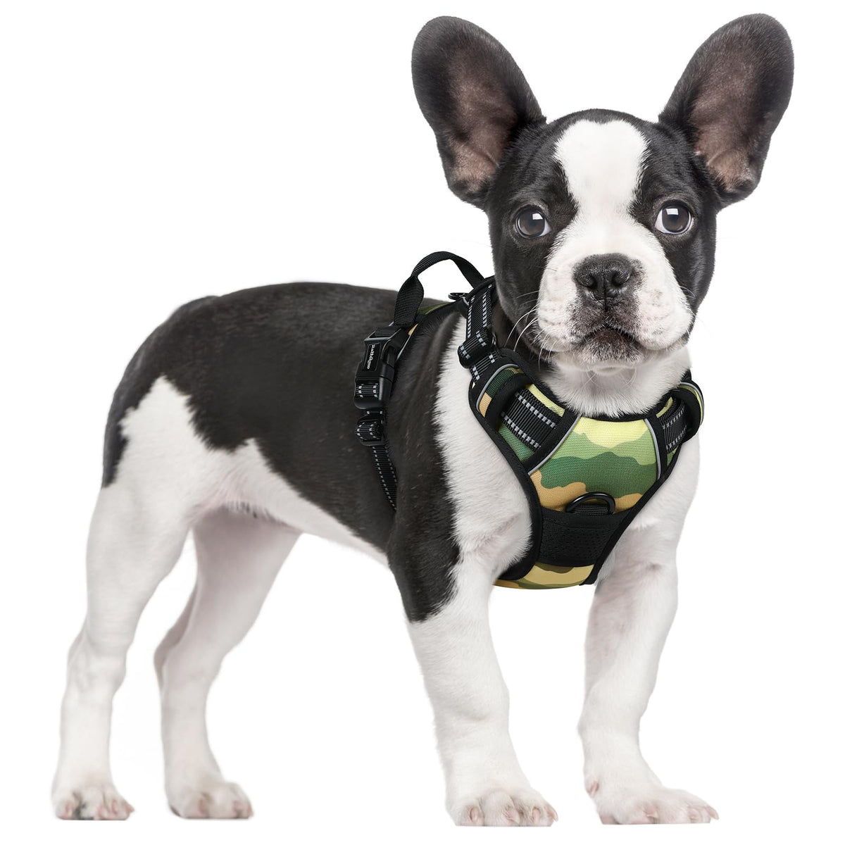 rabbitgoo Hundegeschirr Grosse Hunde Anti Zug mit Griff, L, Schwarz