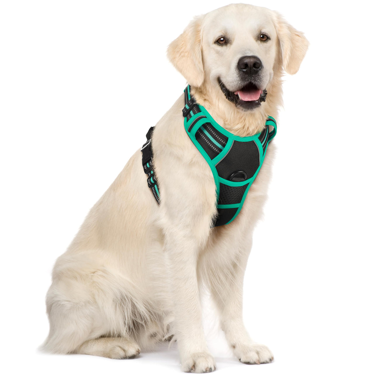 rabbitgoo Hundegeschirr Grosse Hunde Anti Zug mit Griff, L, Schwarz