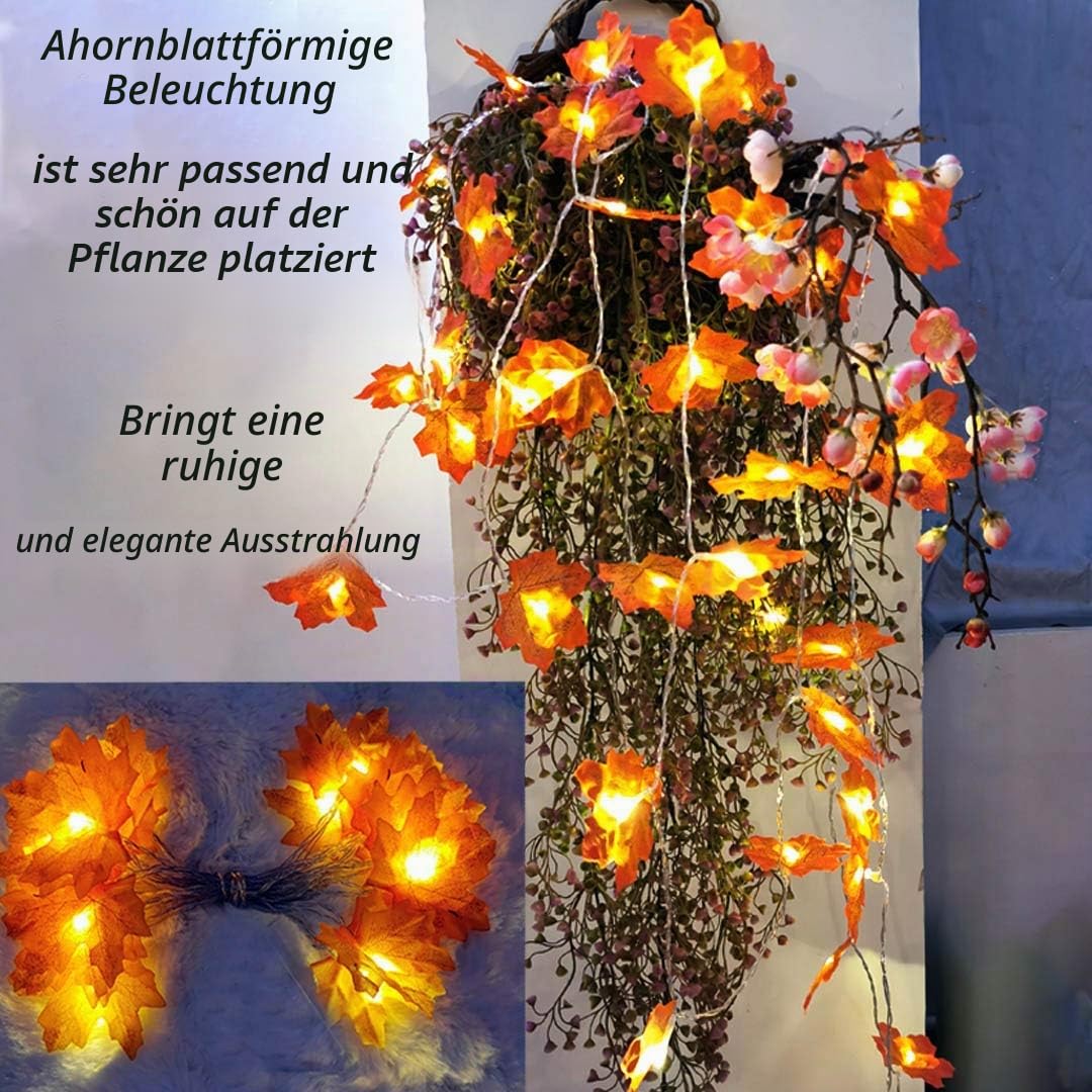 Herbst lichterkette, Herbst Blättergirlande,lichterkette,30 Ahornblatt Licht,Länge 3 Meter Benutzt für herbstdeko und weihnachtsdeko halloween deko party deko tischdeko
