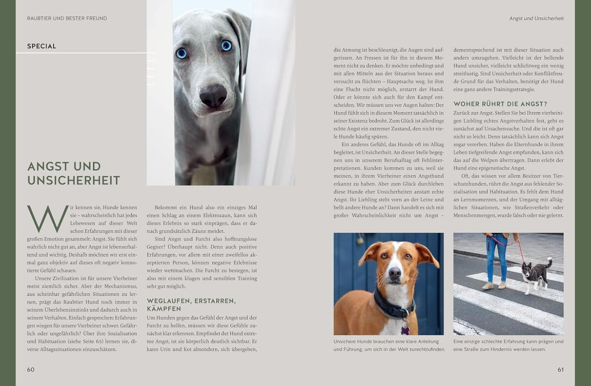 Typgerechte Hundeerziehung: Jede Hundepersönlichkeit individuell trainieren. Mit unterstützenden Videos (GU Hundeerziehung)