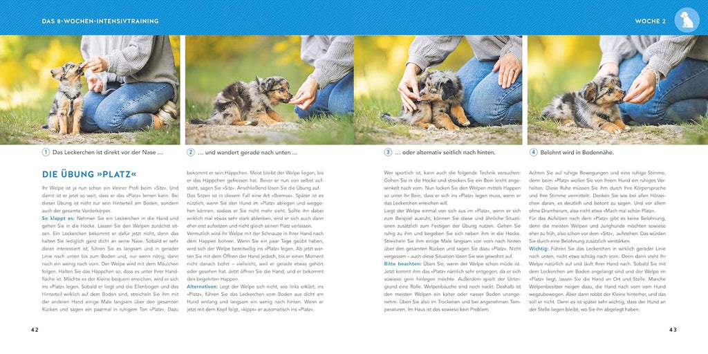 Welpen-Erziehung: Der 8-Wochen-Trainingsplan für Welpen. PLUS: Jung-Hund-Training vom 5. bis zum 12. Monat. Der Top-Seller - über 250.000 verkaufte Exemplare! (GU Welpen)
