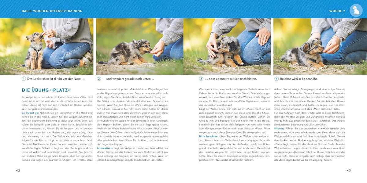 Welpen-Erziehung: Der 8-Wochen-Trainingsplan für Welpen. PLUS: Jung-Hund-Training vom 5. bis zum 12. Monat. Der Top-Seller - über 250.000 verkaufte Exemplare! (GU Welpen)