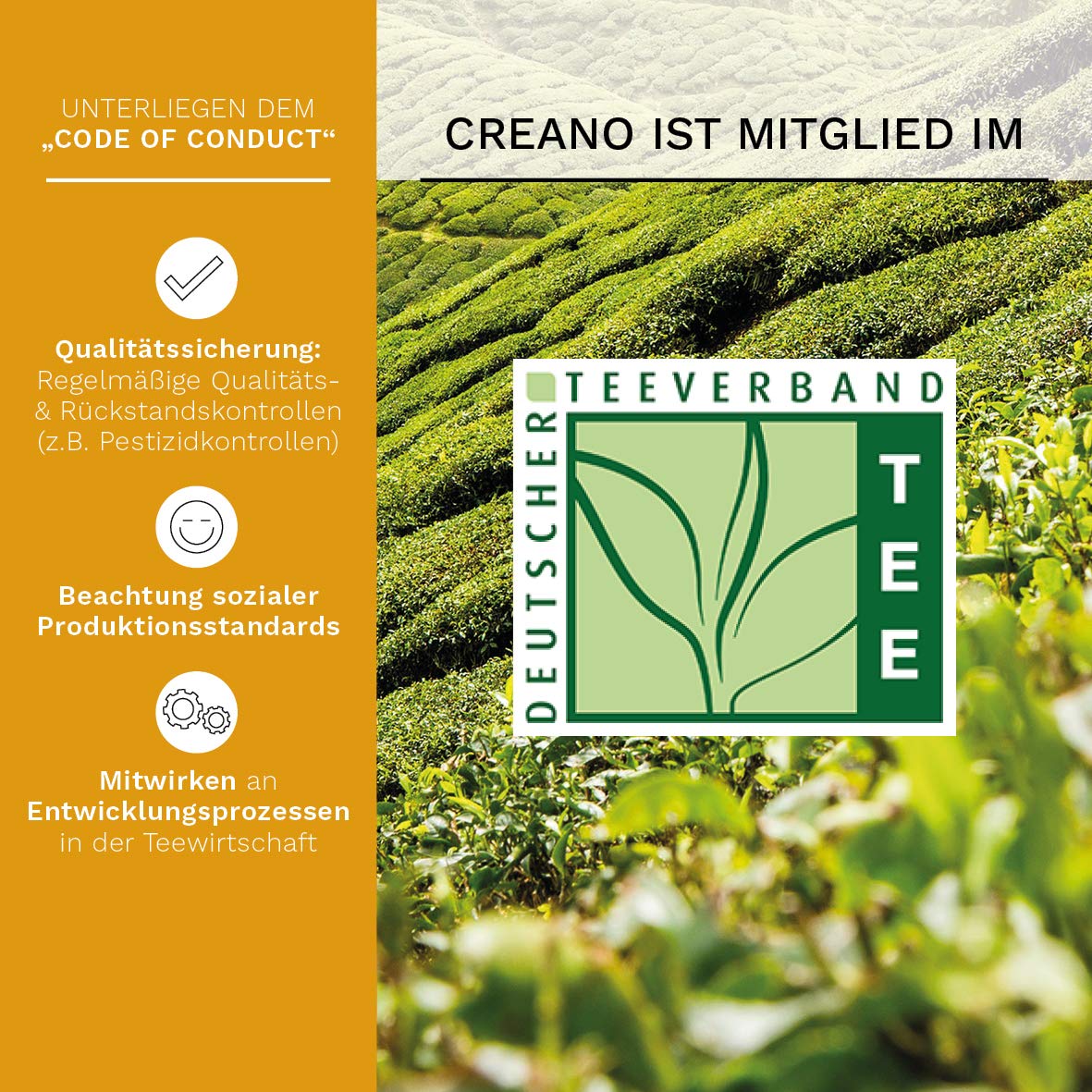 Creano 6 Teeblumen Geschenkbox weißer, schwarzer & grüner Tee in edler Magnetbox mit Silberprägung - 6 verschiedene Sorten - Geschenk zu Weihnachten