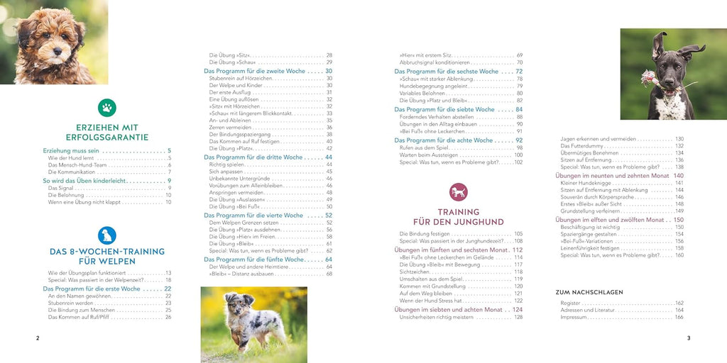 Welpen-Erziehung: Der 8-Wochen-Trainingsplan für Welpen. PLUS: Jung-Hund-Training vom 5. bis zum 12. Monat. Der Top-Seller - über 250.000 verkaufte Exemplare! (GU Welpen)