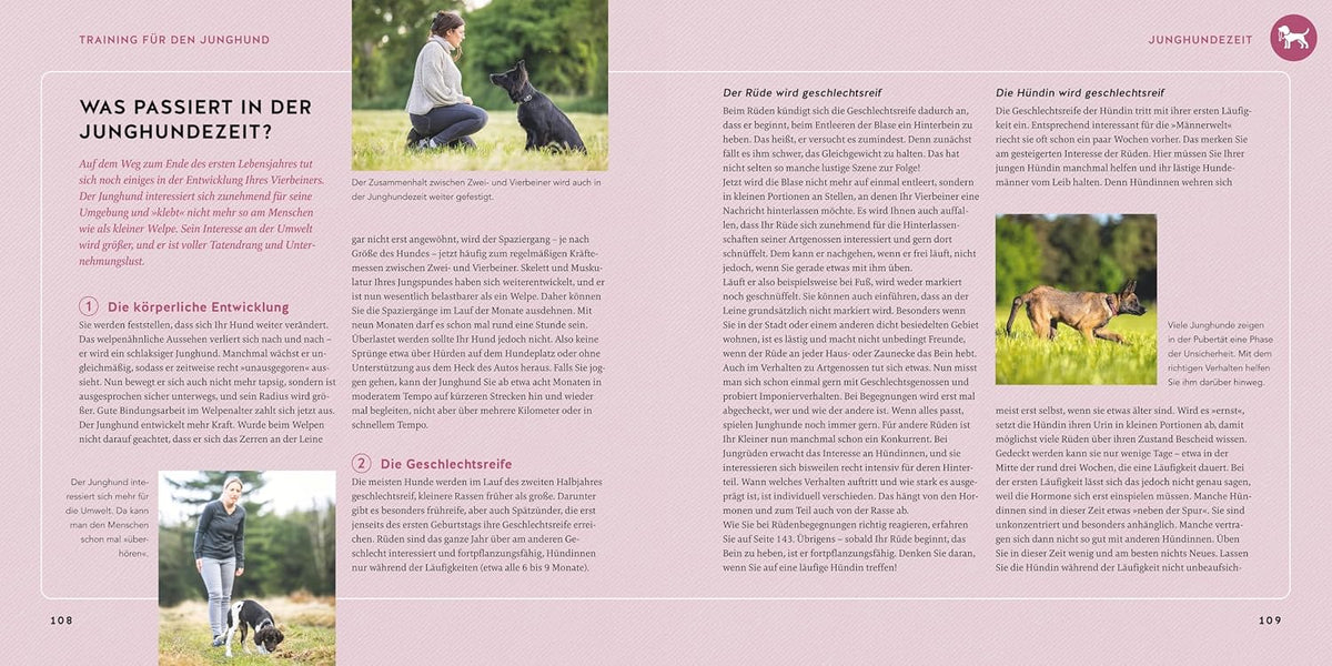 Welpen-Erziehung: Der 8-Wochen-Trainingsplan für Welpen. PLUS: Jung-Hund-Training vom 5. bis zum 12. Monat. Der Top-Seller - über 250.000 verkaufte Exemplare! (GU Welpen)
