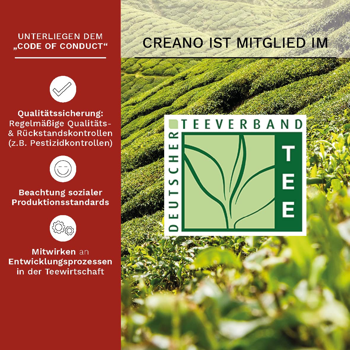 Creano 6 Teeblumen Geschenkbox weißer, schwarzer & grüner Tee in edler Magnetbox mit Silberprägung - 6 verschiedene Sorten - Geschenk zu Weihnachten