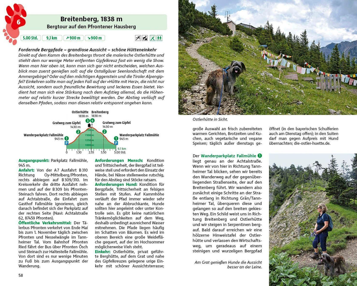 ROTHER Wanderbuch Wandern mit Hund Allgäu. mit Tannheimer Tal und Kleinwalsertal. 40 Vierbeiner-Touren: Inkl. GPS-Tracks zum Download