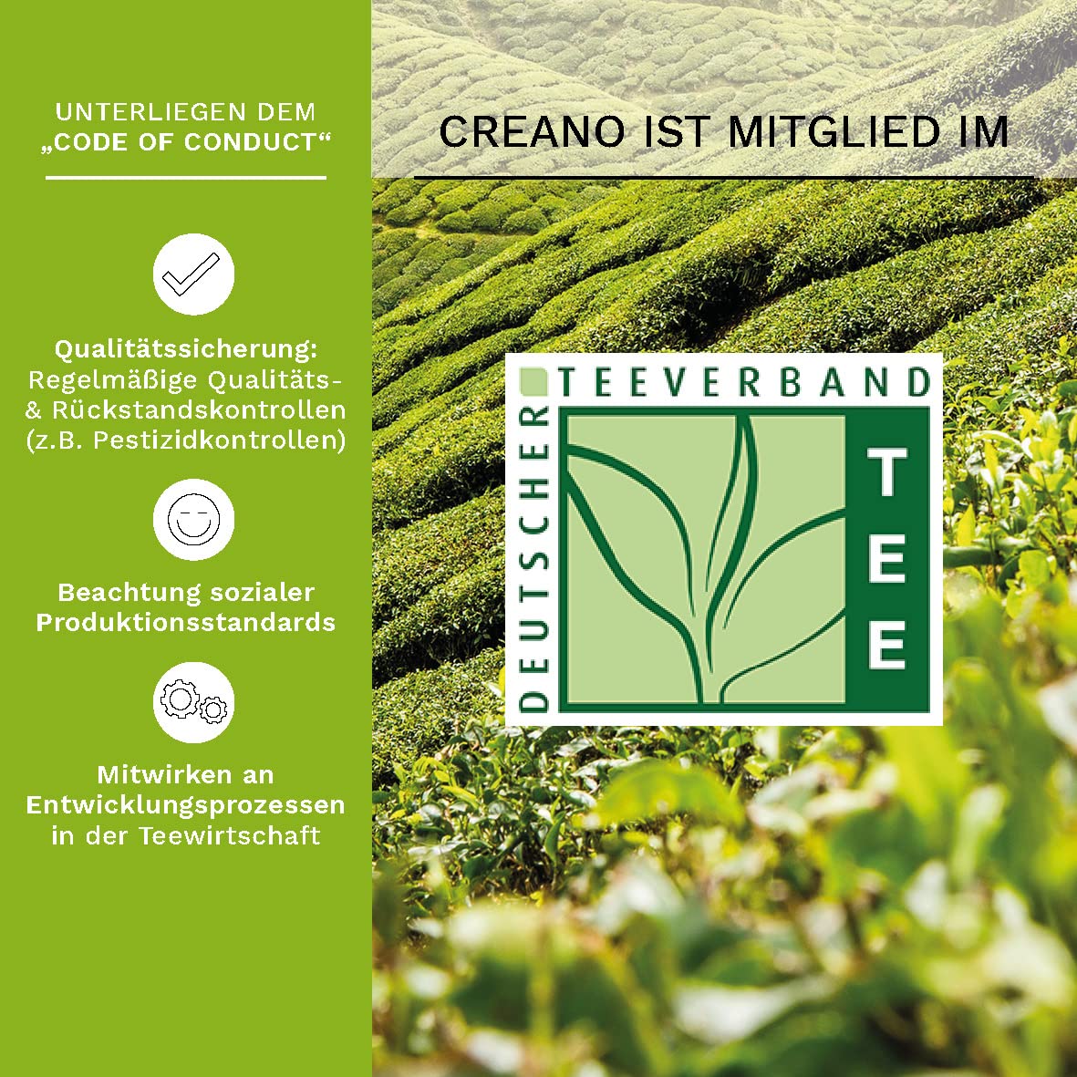 Creano 6 Teeblumen Geschenkbox weißer, schwarzer & grüner Tee in edler Magnetbox mit Silberprägung - 6 verschiedene Sorten - Geschenk zu Weihnachten