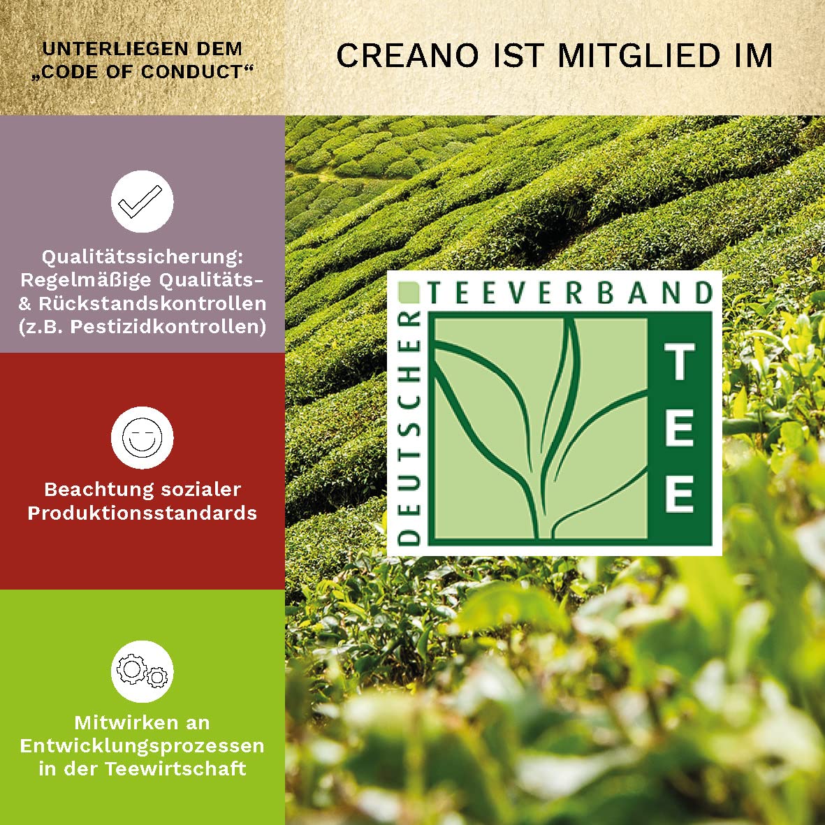Creano 6 Teeblumen Geschenkbox weißer, schwarzer & grüner Tee in edler Magnetbox mit Silberprägung - 6 verschiedene Sorten - Geschenk zu Weihnachten