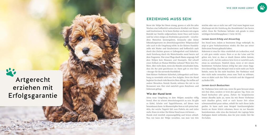 Welpen-Erziehung: Der 8-Wochen-Trainingsplan für Welpen. PLUS: Jung-Hund-Training vom 5. bis zum 12. Monat. Der Top-Seller - über 250.000 verkaufte Exemplare! (GU Welpen)