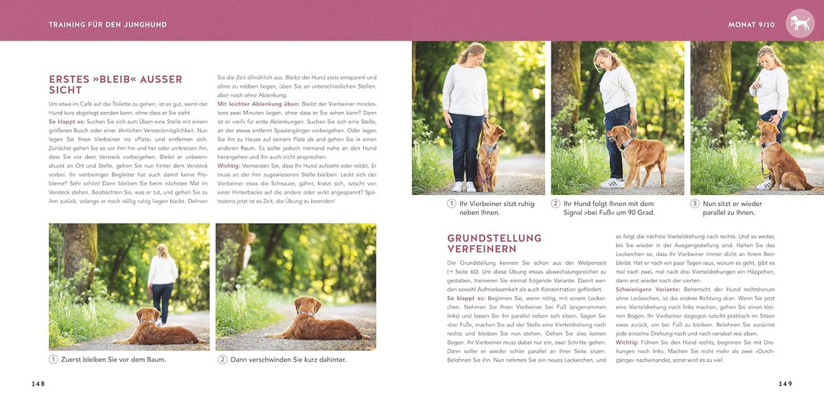 Welpen-Erziehung: Der 8-Wochen-Trainingsplan für Welpen. PLUS: Jung-Hund-Training vom 5. bis zum 12. Monat. Der Top-Seller - über 250.000 verkaufte Exemplare! (GU Welpen)